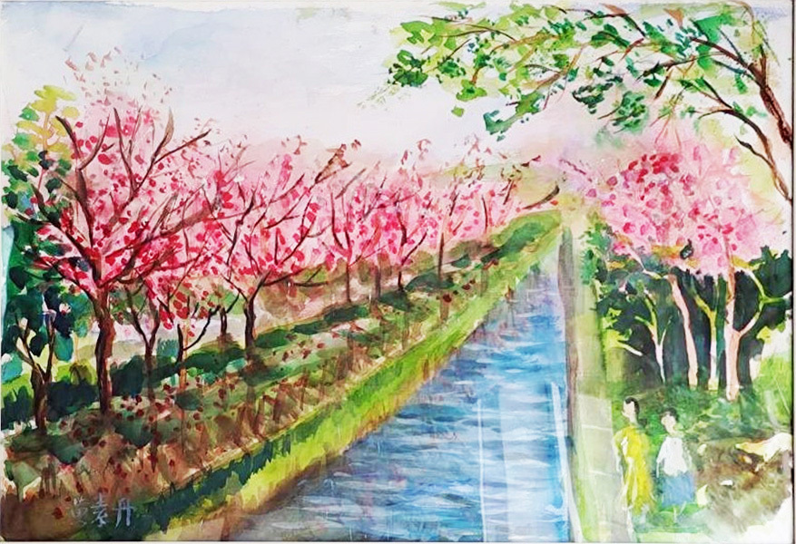 虎尾美人樹(水彩)