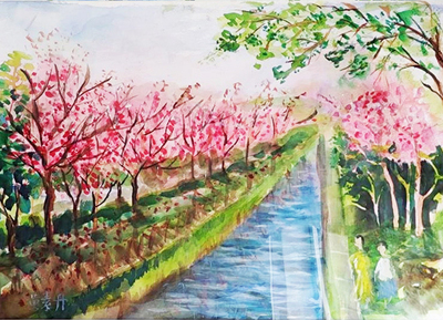 Link to 虎尾美人樹(水彩)